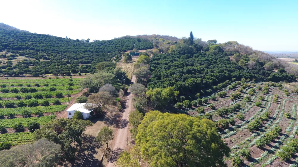 Mixed use farm for sale in Malelane - 1NK1709932