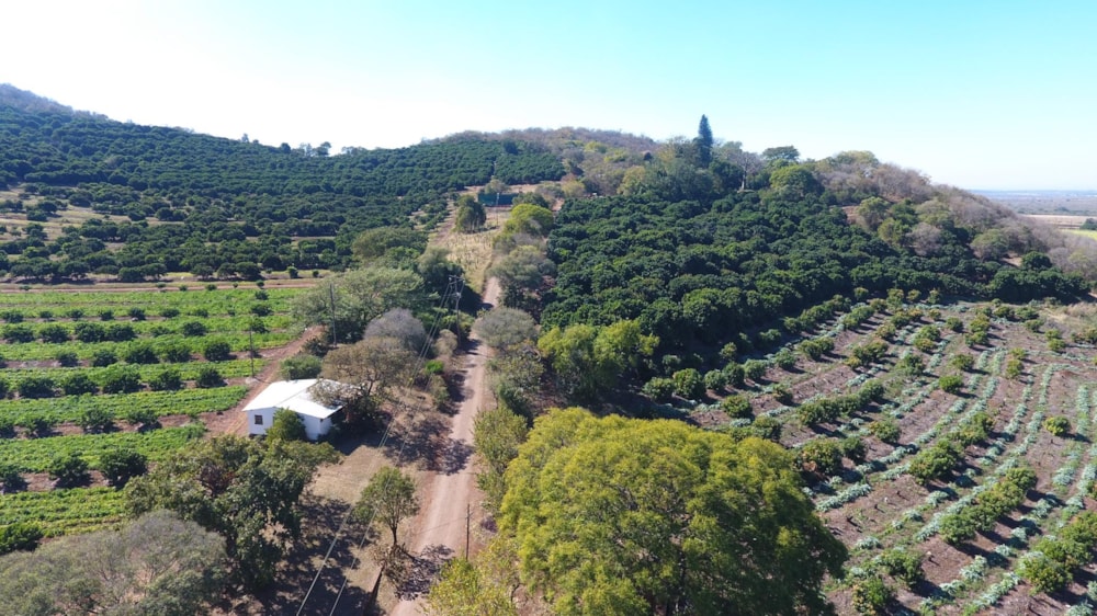 Mixed use farm for sale in Malelane - 1NK1709932 Mixed use farm for sale in Malelane - 1NK1709932