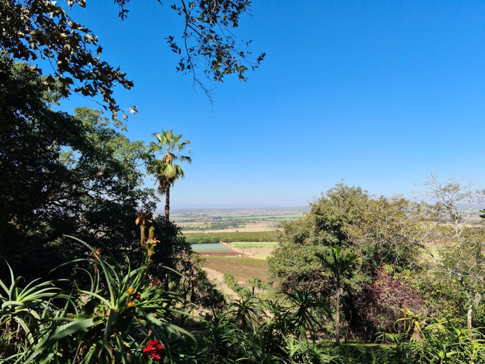 Mixed use farm for sale in Malelane - 1NK1709932