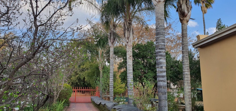 Garden apartment to rent in Meerhof - 1HR1747431