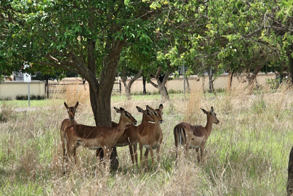 Vacant land for sale in Westlake, Hartbeespoort - 1HR1713763