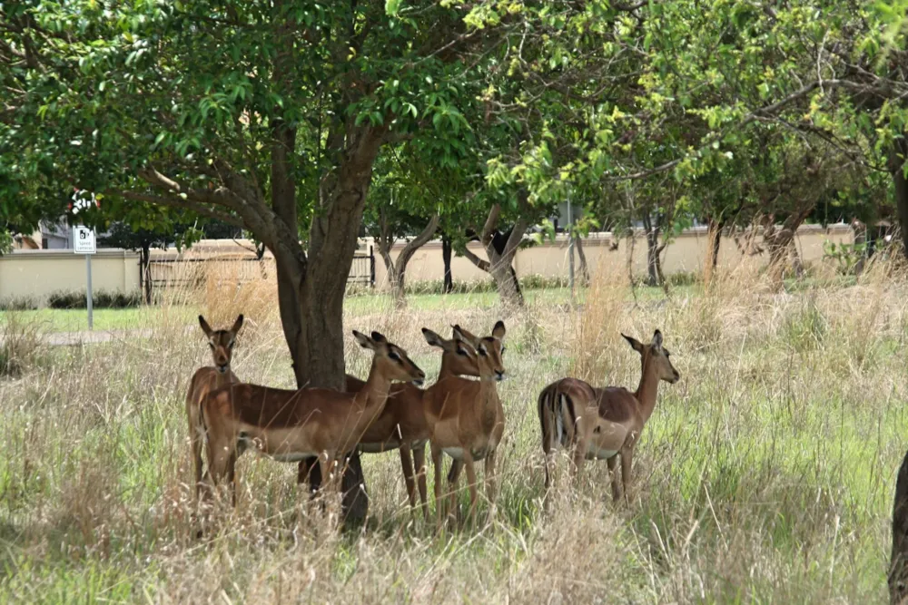 Vacant land for sale in Westlake, Hartbeespoort - 1HR1713763 Vacant land for sale in Westlake, Hartbeespoort - 1HR1713763