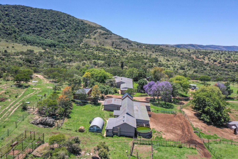Livestock farm sold in Grahamstown (Makhanda) - 1GC1703750