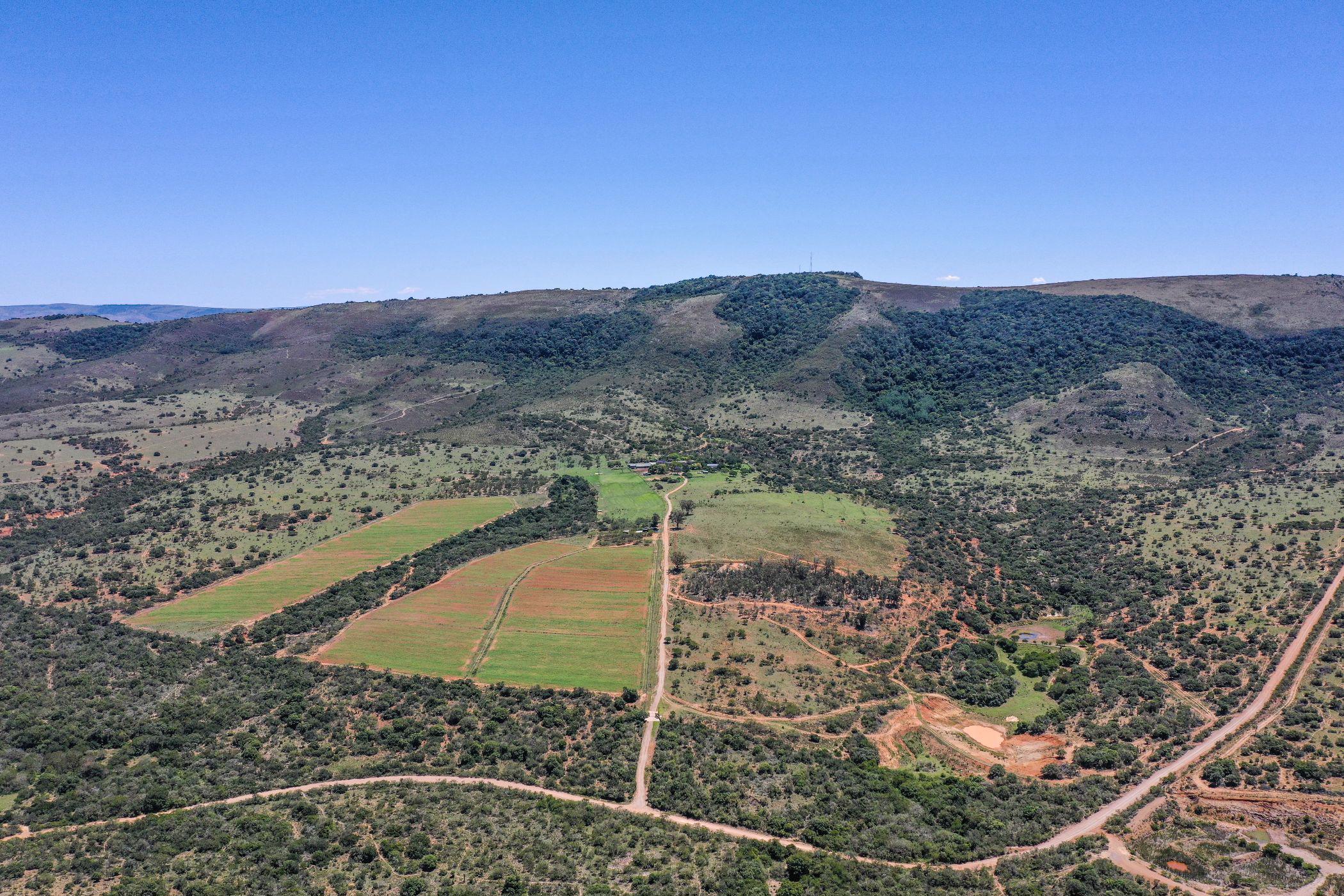 Livestock farm sold in Grahamstown (Makhanda) - 1GC1703750