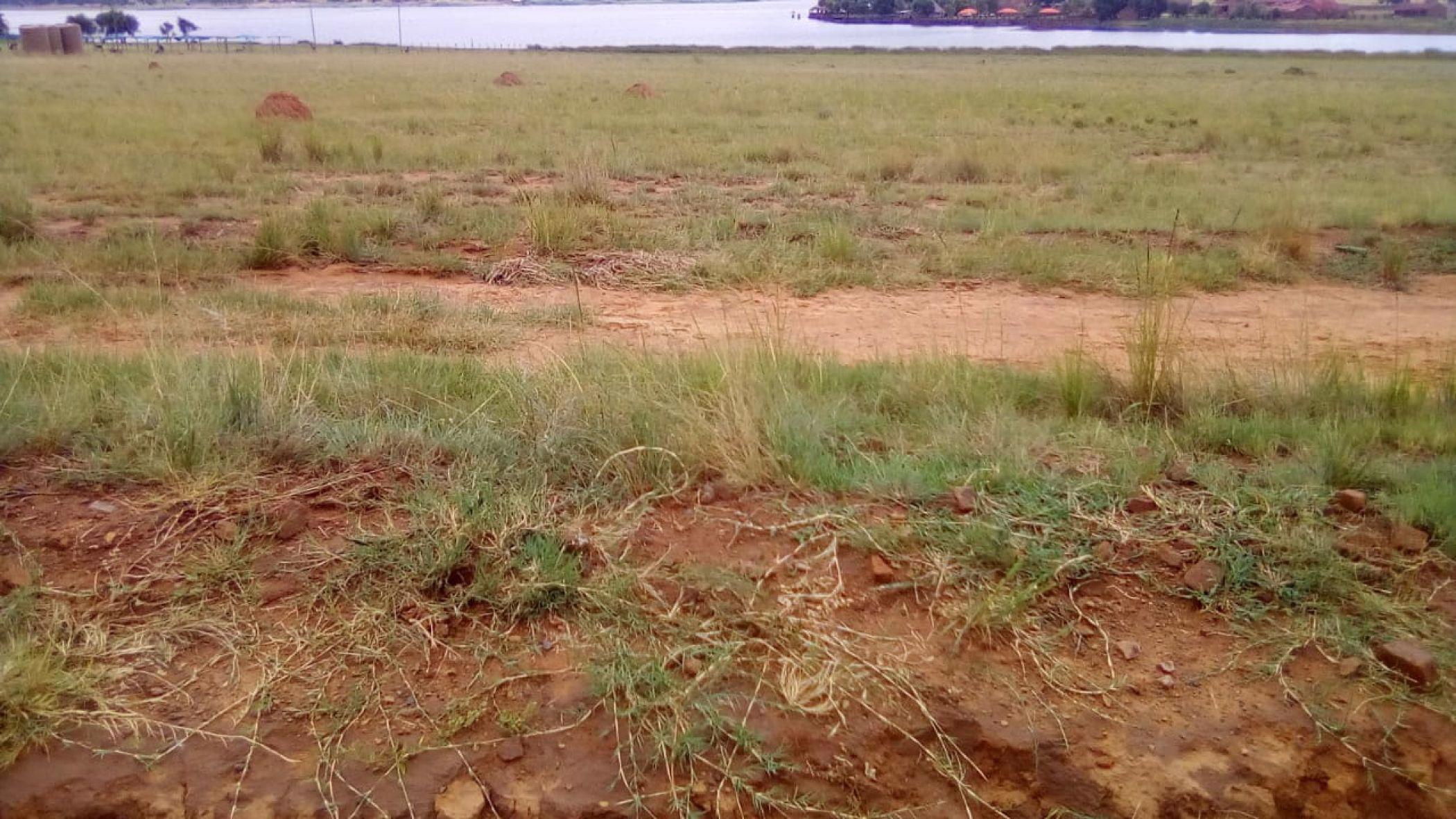 Farm vacant land for sale in Naaupoort - 1WD1727935