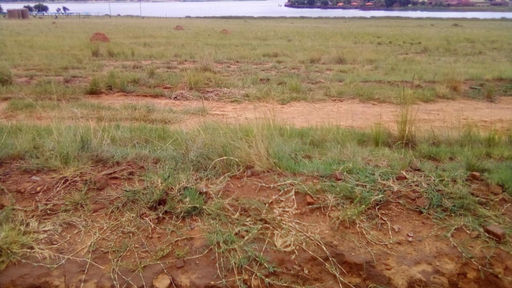 Farm vacant land for sale in Naaupoort - 1WD1727935