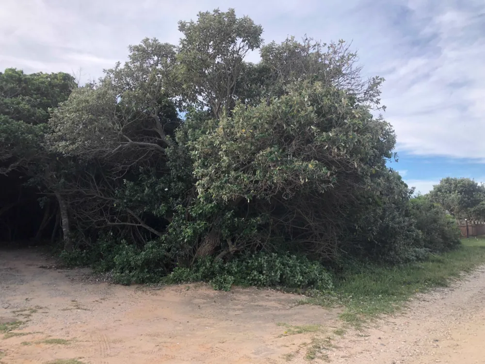 Vacant land sold in Cannon Rocks - 1KO1724578
