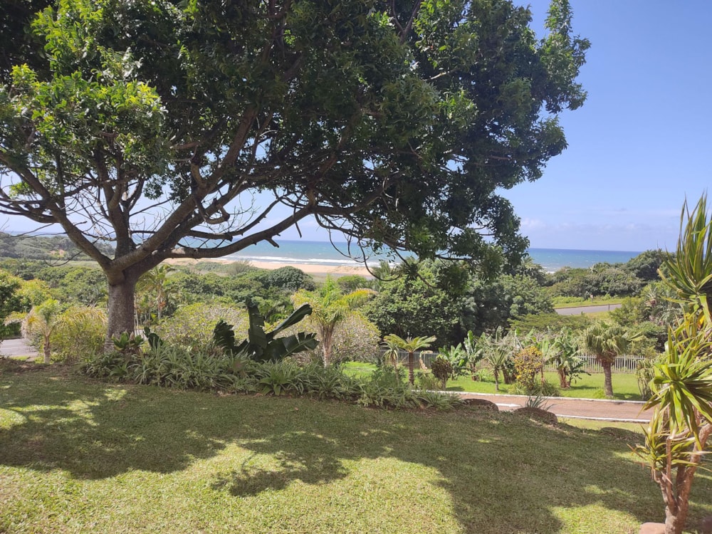 Townhouse for sale in Shelly Beach - 1PSH1713188 Townhouse for sale in Shelly Beach - 1PSH1713188