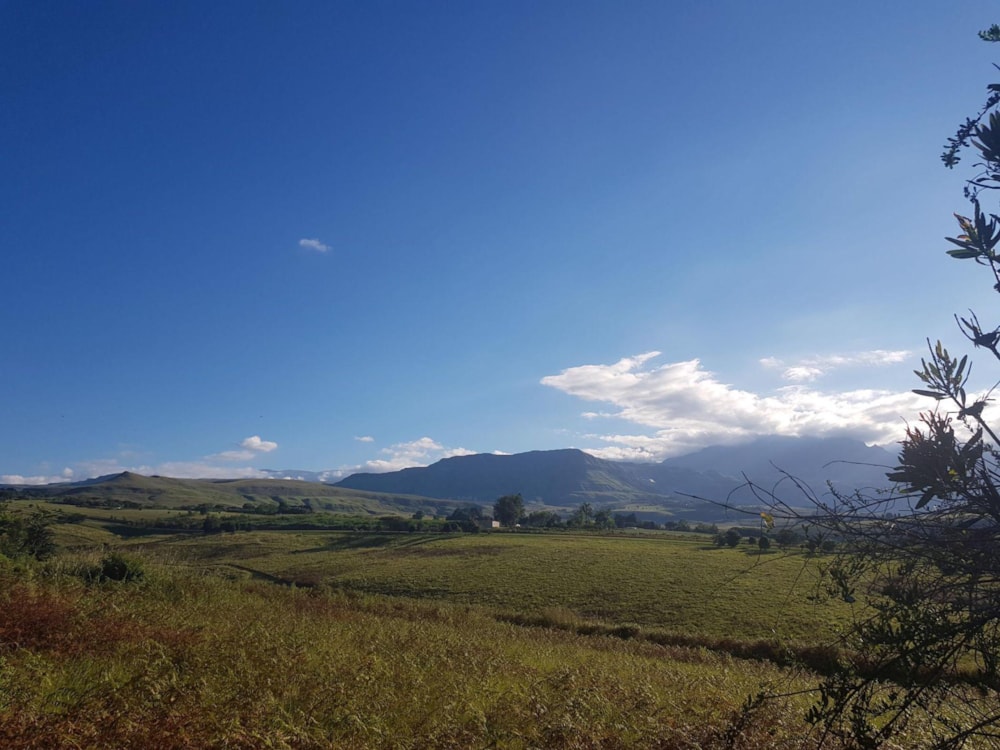 Residential vacant land sold in Cathkin Park - 1PM1674015