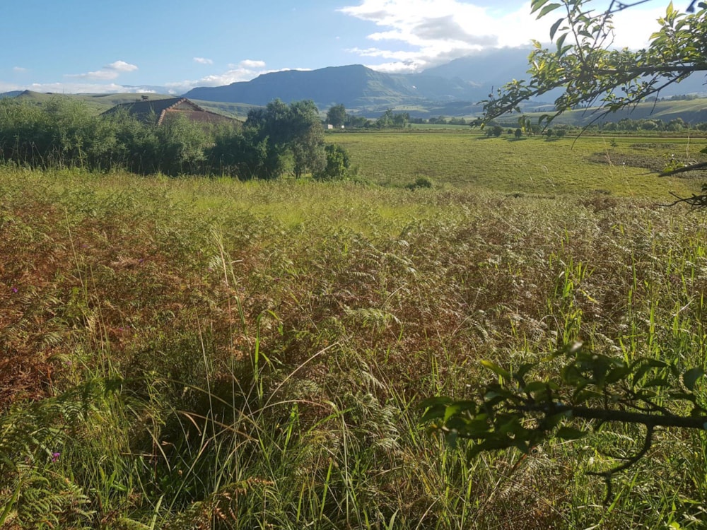 Residential vacant land sold in Cathkin Park - 1PM1674015