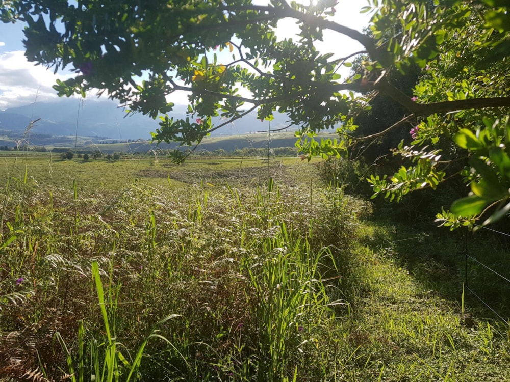 Residential vacant land sold in Cathkin Park - 1PM1674015