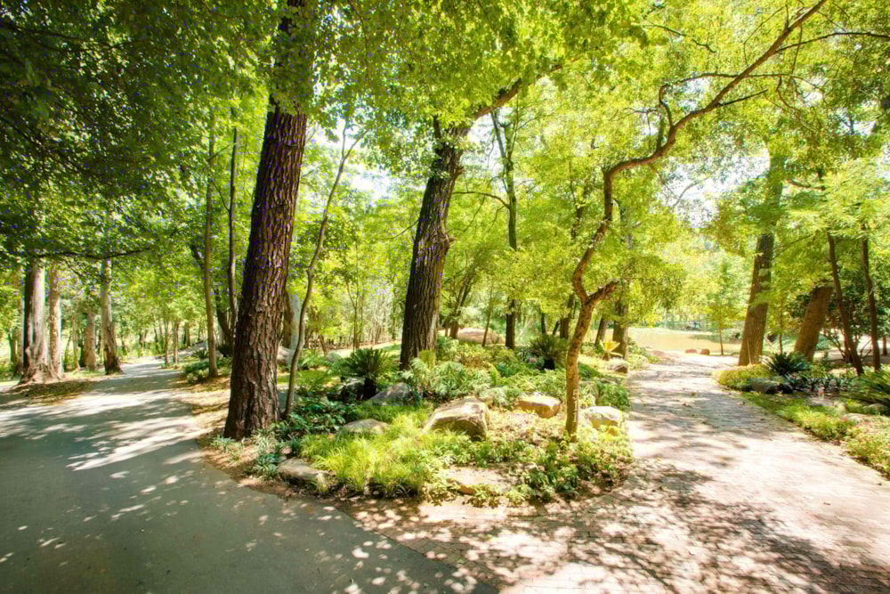 Residential vacant land sold in Blair Atholl - FW1697427 Residential vacant land sold in Blair Atholl - FW1697427