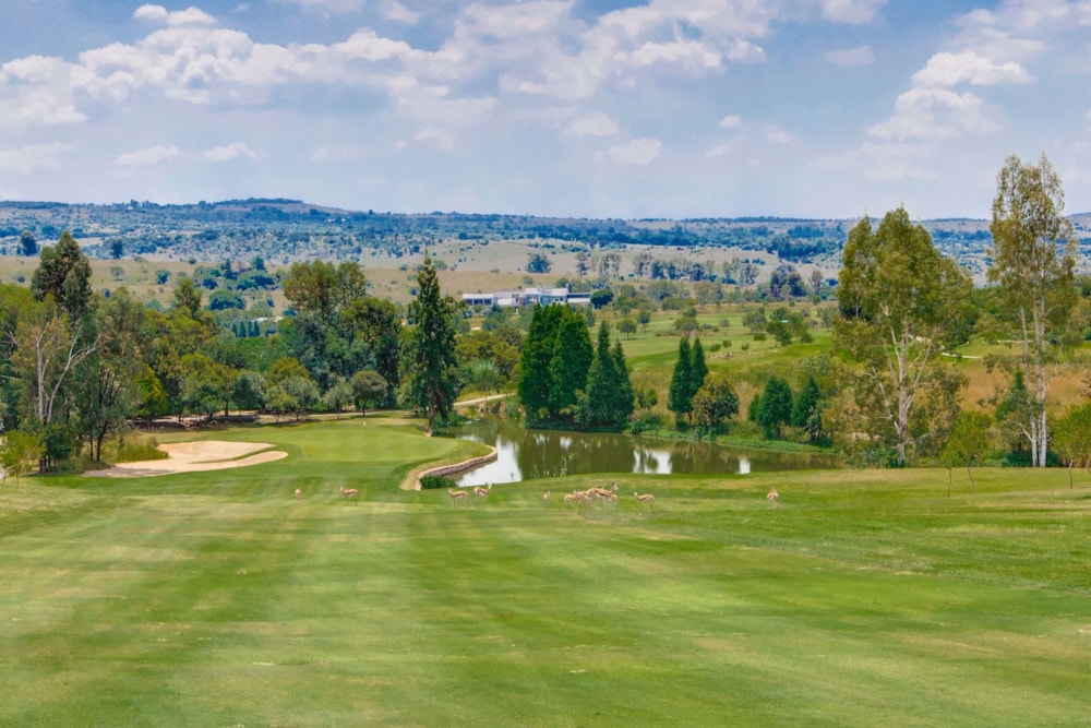 Residential vacant land sold in Blair Atholl - FW1697427 Residential vacant land sold in Blair Atholl - FW1697427