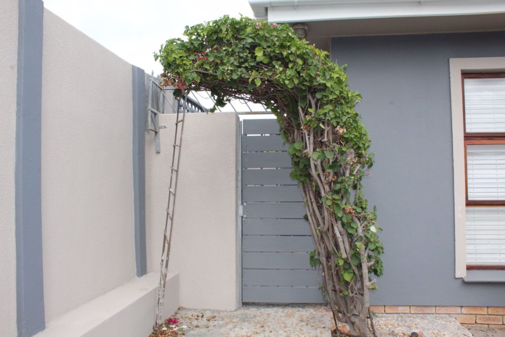 House to rent in Goodwood Estate - 1AH1717376 House to rent in Goodwood Estate - 1AH1717376