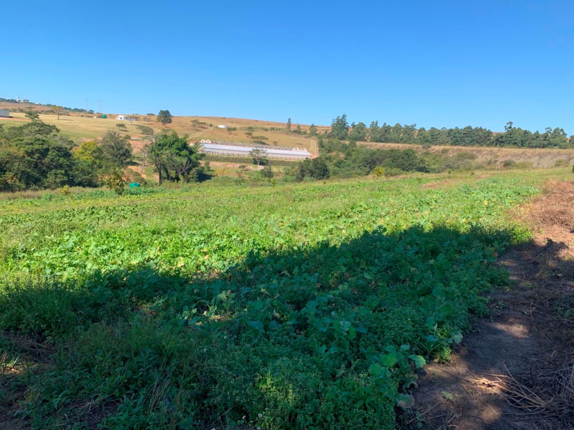 Smallholding for sale in Lynnfield Park  - 1PM1723357