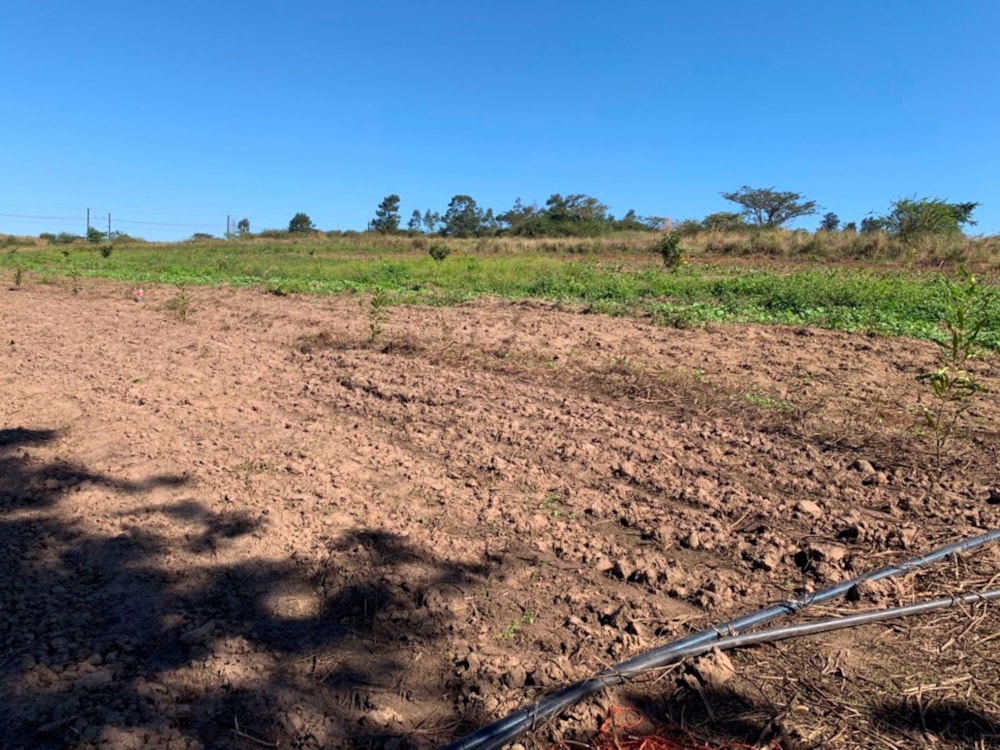 Smallholding for sale in Lynnfield Park - 1PM1723357 Smallholding for sale in Lynnfield Park - 1PM1723357