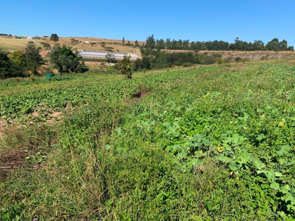 Smallholding for sale in Lynnfield Park - 1PM1723357 Smallholding for sale in Lynnfield Park - 1PM1723357