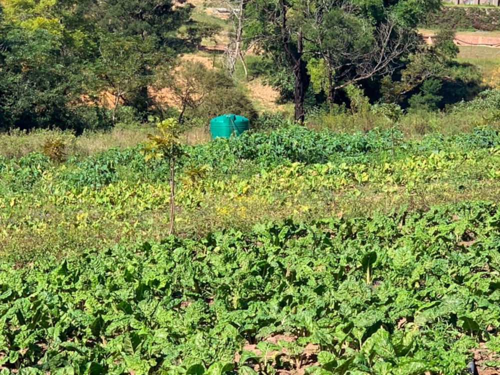 Smallholding for sale in Lynnfield Park - 1PM1723357 Smallholding for sale in Lynnfield Park - 1PM1723357