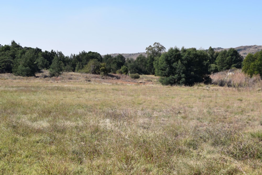 Vacant land for sale in Berg en Dal, Heidelberg - 1SP1672644 Vacant land for sale in Berg en Dal, Heidelberg - 1SP1672644