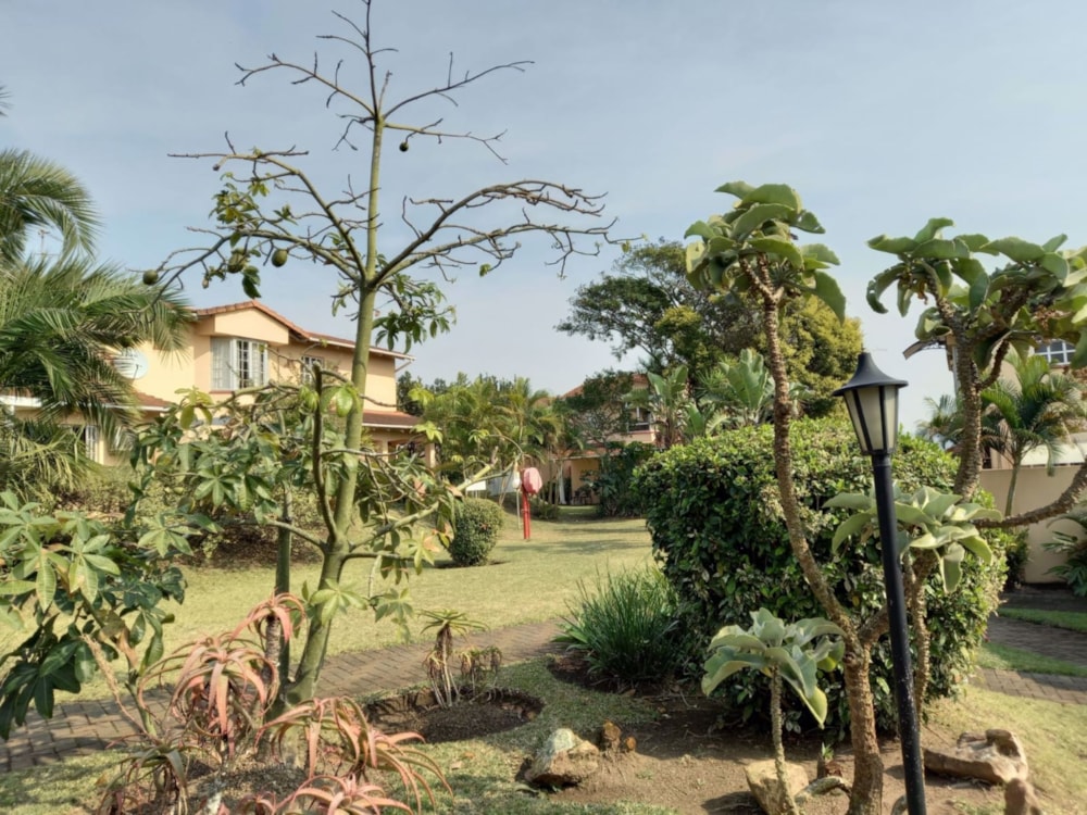 Townhouse to rent in Sherwood, Westville - 1WP1718253 Townhouse to rent in Sherwood, Westville - 1WP1718253