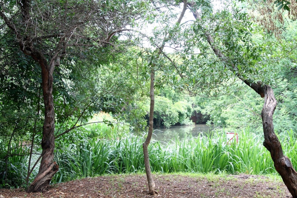 Vacant land for sale in Westlake, Hartbeespoort - 1HR1714171