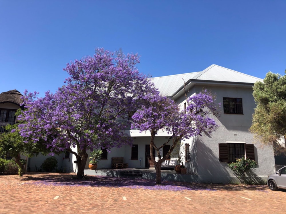 House to rent in Universiteits Oord - STL1719295 House to rent in Universiteits Oord - STL1719295