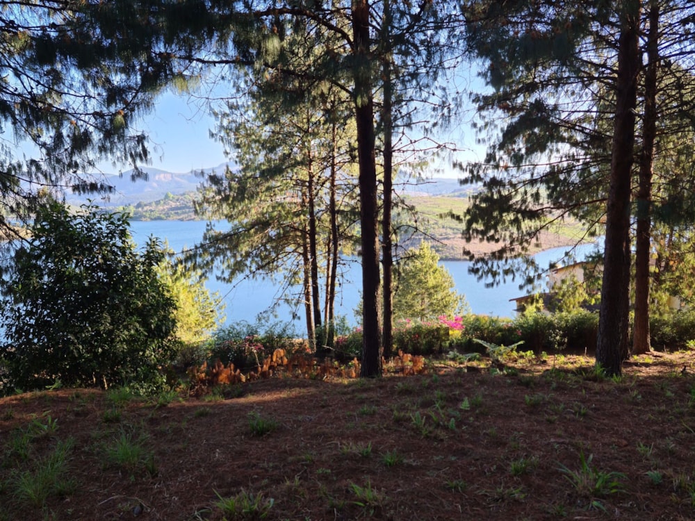 Residential vacant land sold in Magoebaskloof - 1TA1665399 Residential vacant land sold in Magoebaskloof - 1TA1665399