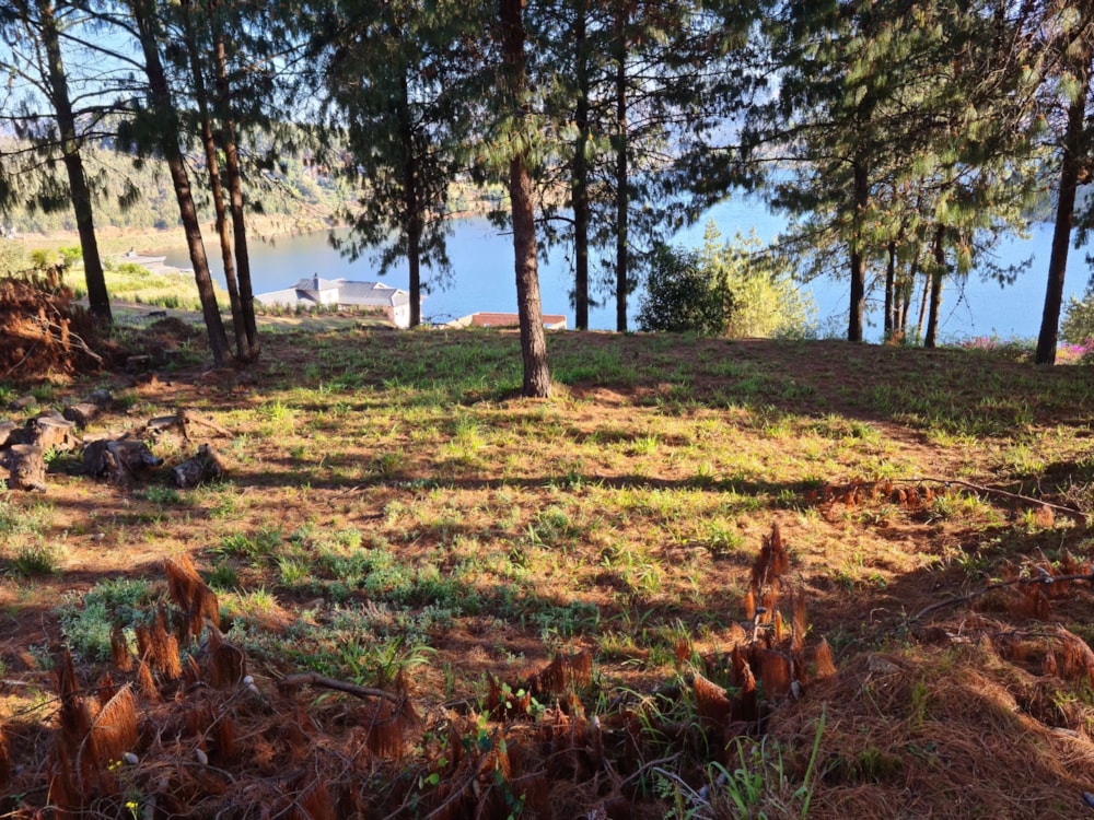 Residential vacant land sold in Magoebaskloof - 1TA1665399 Residential vacant land sold in Magoebaskloof - 1TA1665399