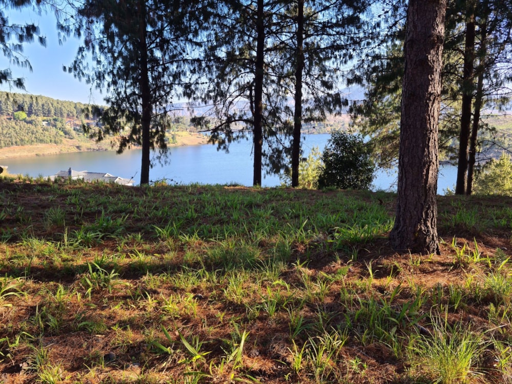 Residential vacant land sold in Magoebaskloof - 1TA1665399 Residential vacant land sold in Magoebaskloof - 1TA1665399