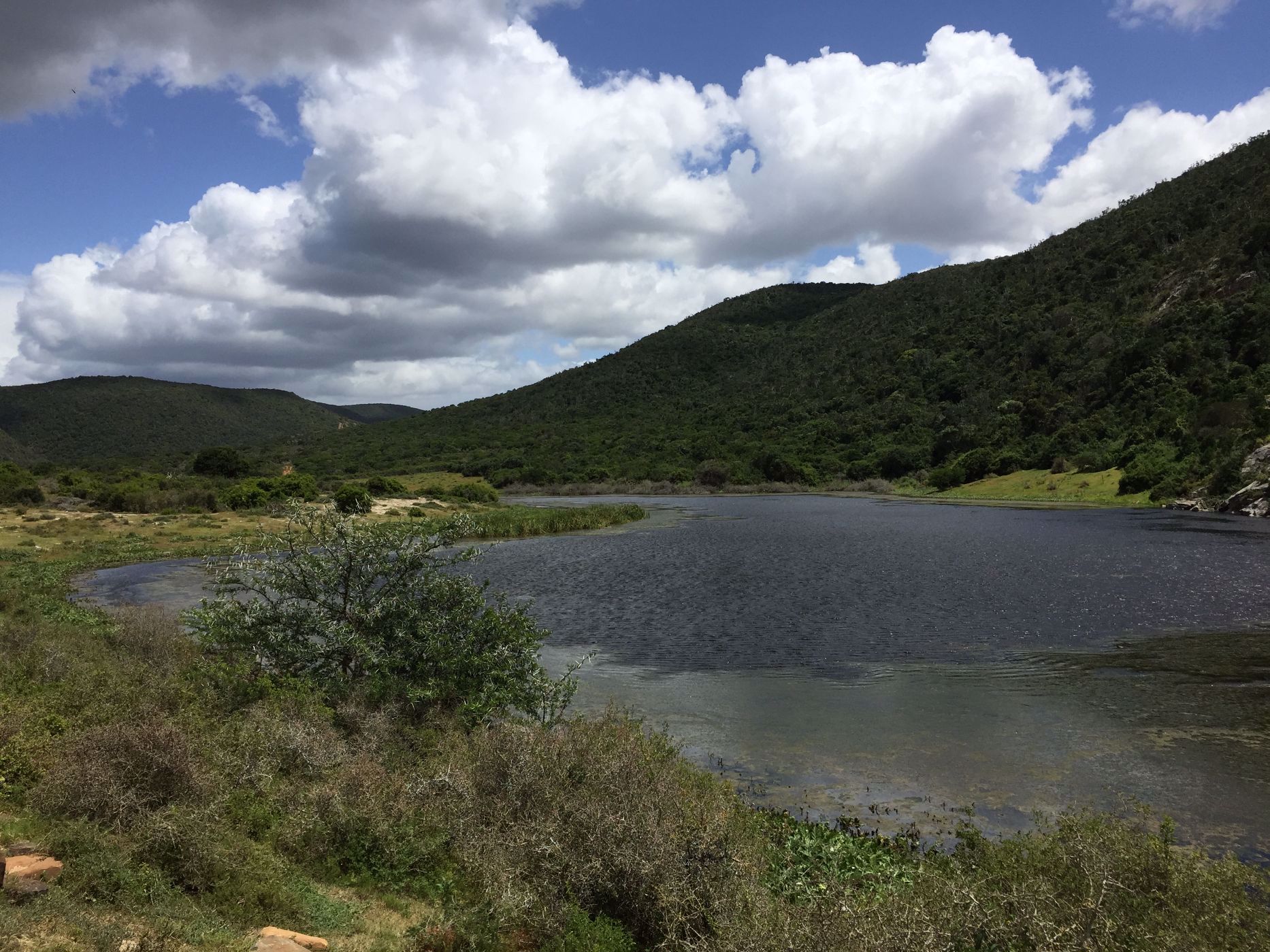 Game farm for sale in Grahamstown (Makhanda) - 1GC1717262