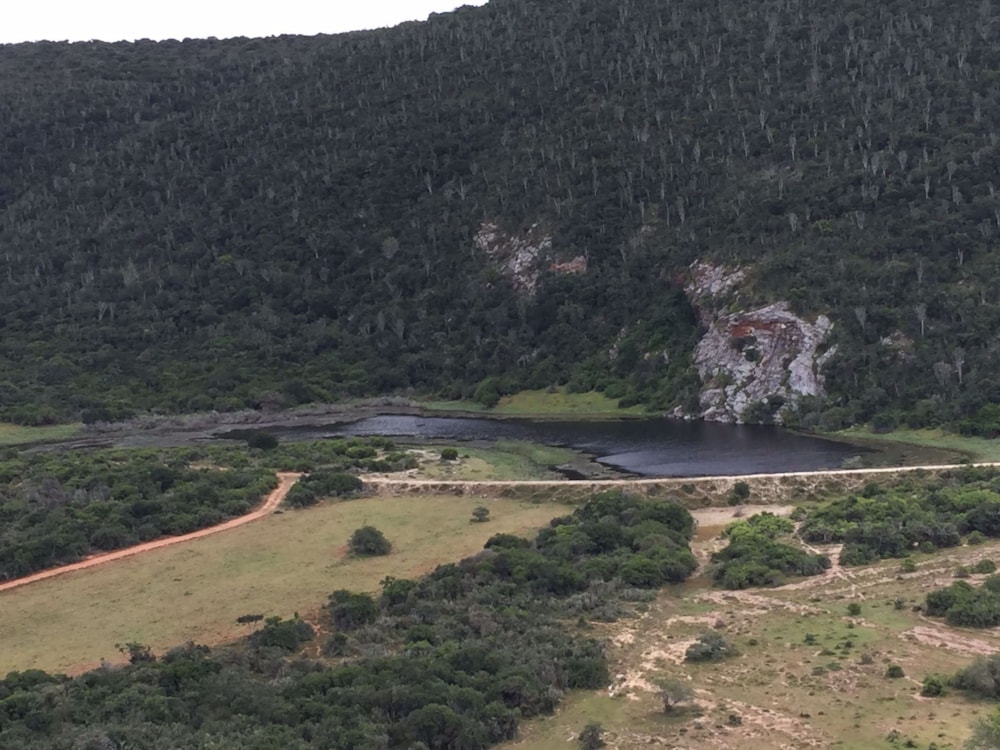 Game farm for sale in Grahamstown (Makhanda) - 1GC1717262