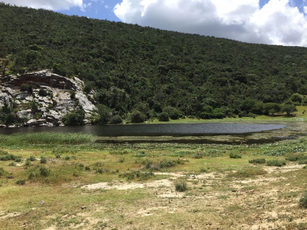 Game farm for sale in Grahamstown (Makhanda) - 1GC1717262