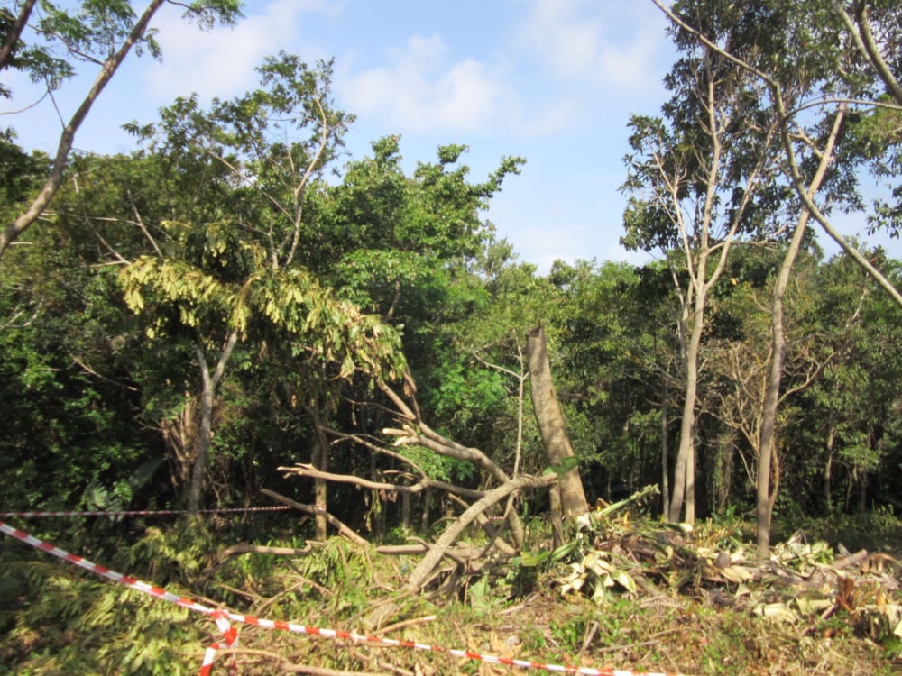 Residential vacant land for sale in Ramsgate - 1PD1724046 Residential vacant land for sale in Ramsgate - 1PD1724046