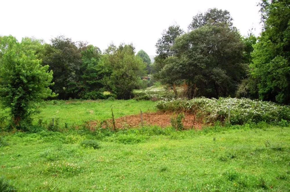 Vacant land for sale in Byrne - 1PM1716111