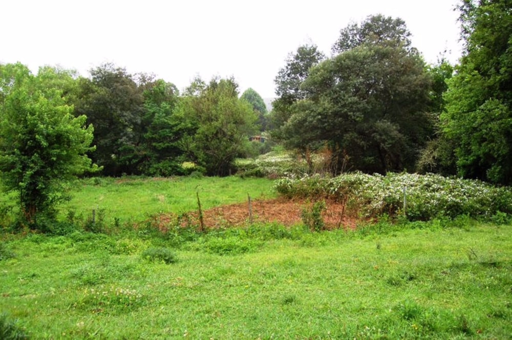 Vacant land for sale in Byrne - 1PM1716111 Vacant land for sale in Byrne - 1PM1716111