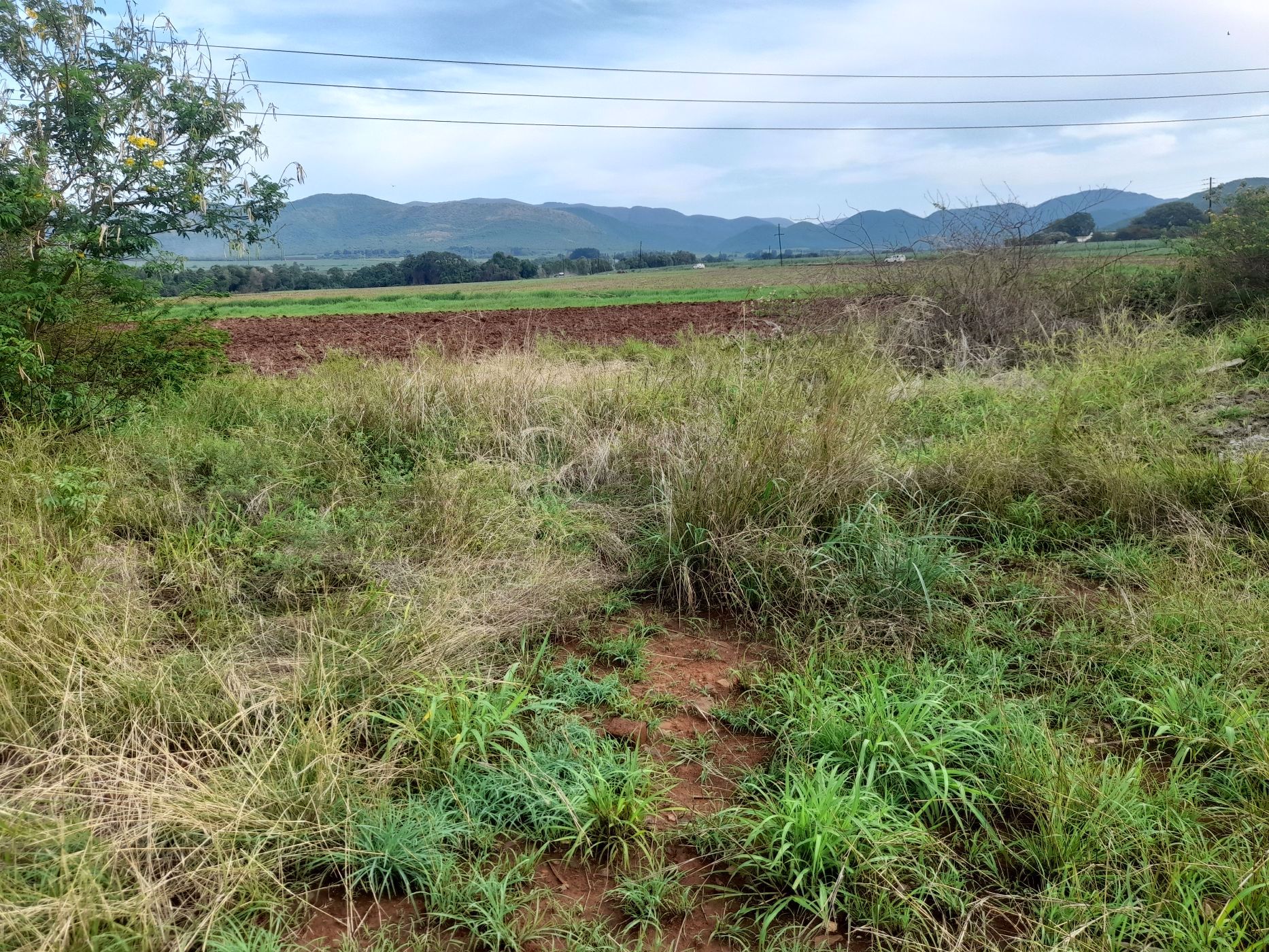 Vacant land sold in Malelane - 1NK1704164