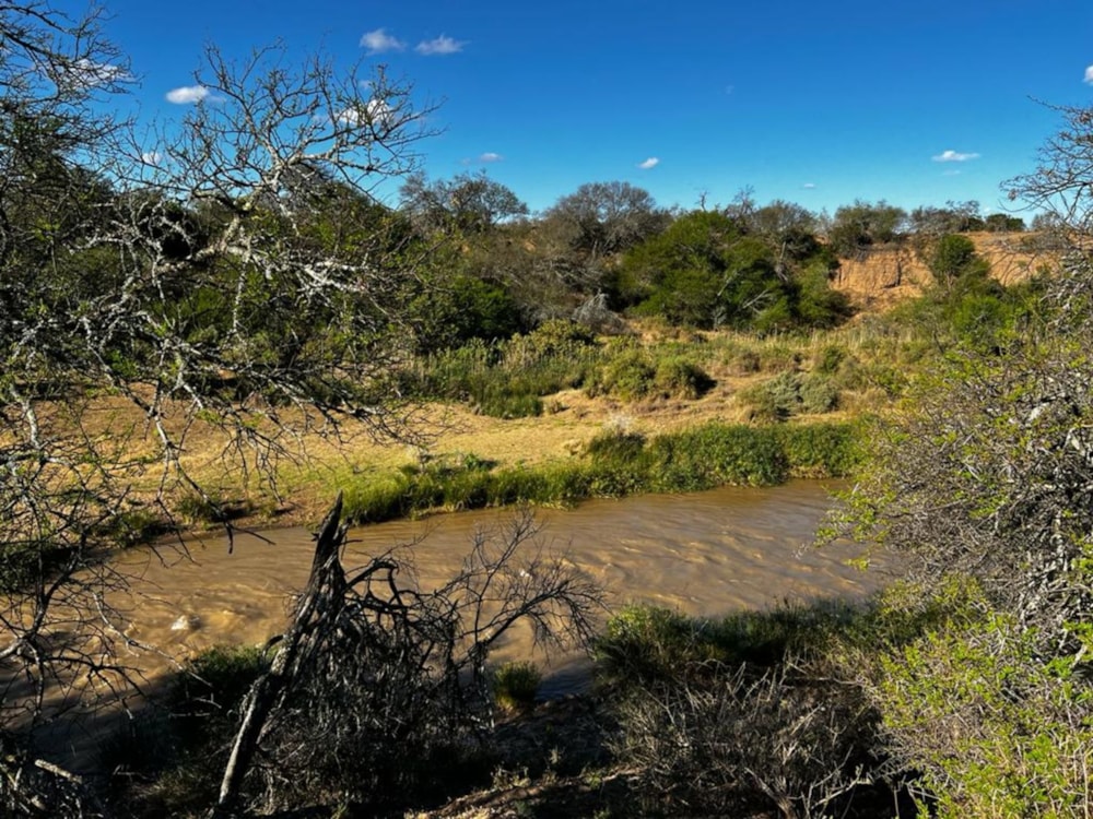 Game farm for sale in Grahamstown (Makhanda) - 1GC1717262