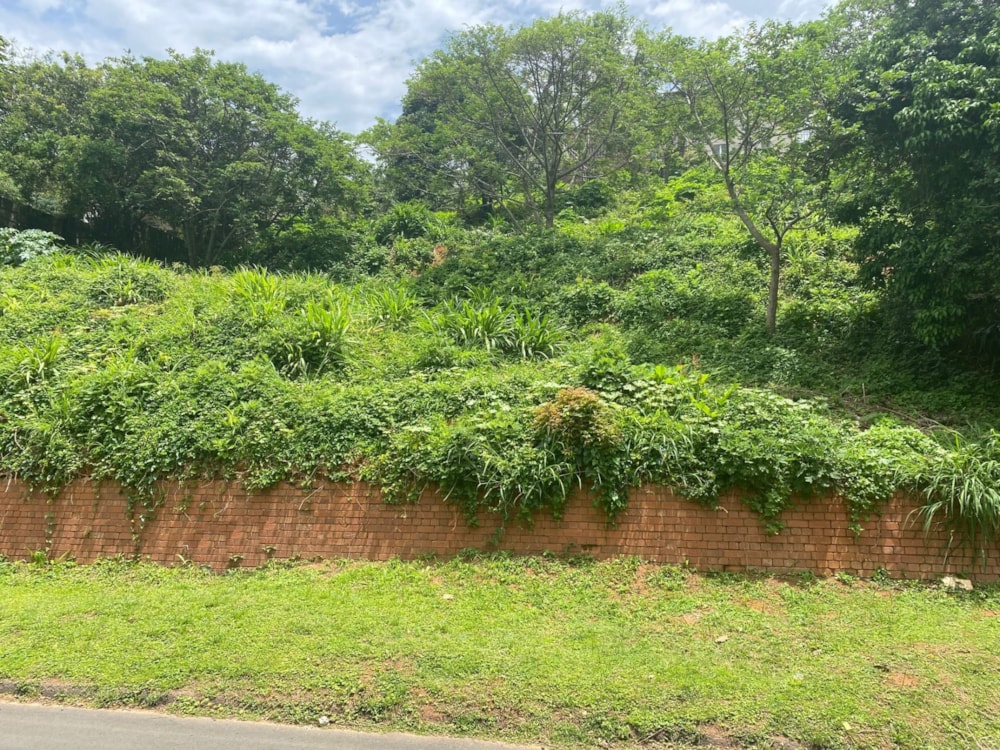 Vacant land for sale in Ballito - 1BD1648674 Vacant land for sale in Ballito - 1BD1648674