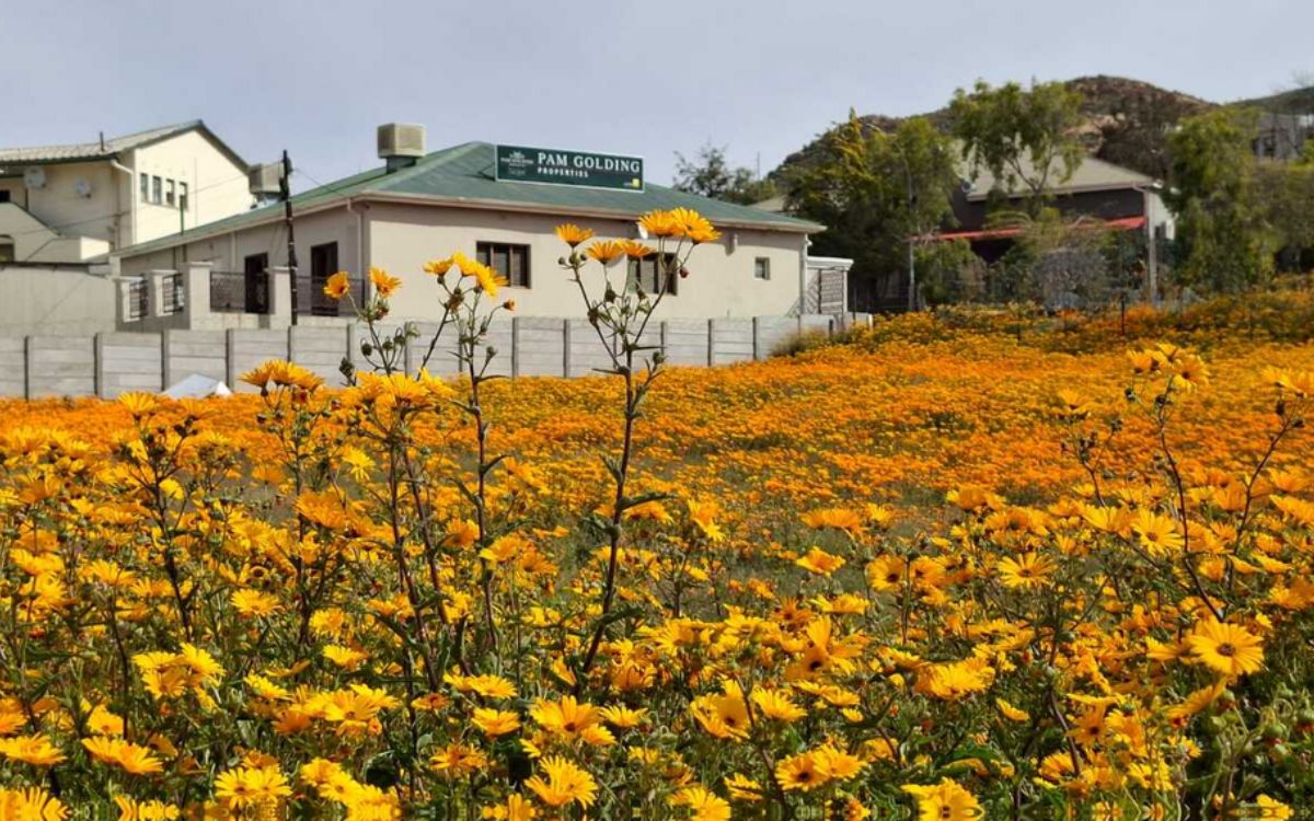 Your property sales and rental specialists in Nababeep, Port Nolloth, Simonsig, Springbok, Springbok Farms