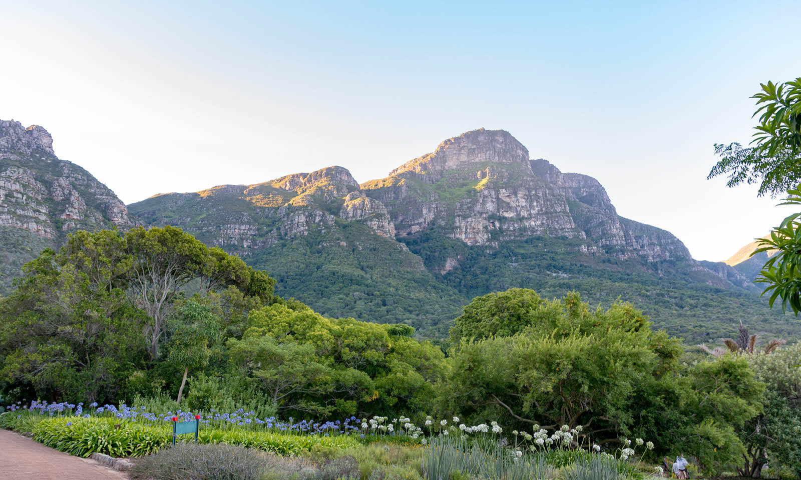 Your property sales and rental specialists in Bergvliet, Bishopscourt, Bishopscourt Village, Claremont, Claremont Upper, Constantia, Constantia Upper, Diep River, Harfield Village, Kenilworth, Kenilworth Park, Kenilworth Upper, Kenwyn, Kirstenhof, Kreupelbosch, Lakeside, Lansdowne, Lynfrae, Meadowridge, Mowbray, Newlands, Nieuwe Steenberg, Observatory, Pinelands, Plumstead, Rondebosch, Rondebosch East, Rondebosch Park Estate, Rosebank, Salt River, Silvertree Estate, Southfield, Steenberg, Steenberg Golf Estate, Stonehurst Estate, Sybrand Park, Tokai, Woodstock, Woodstock Upper, Wynberg, Wynberg Upper, Zandvlei Klein Wassenar, Zwaanswyk