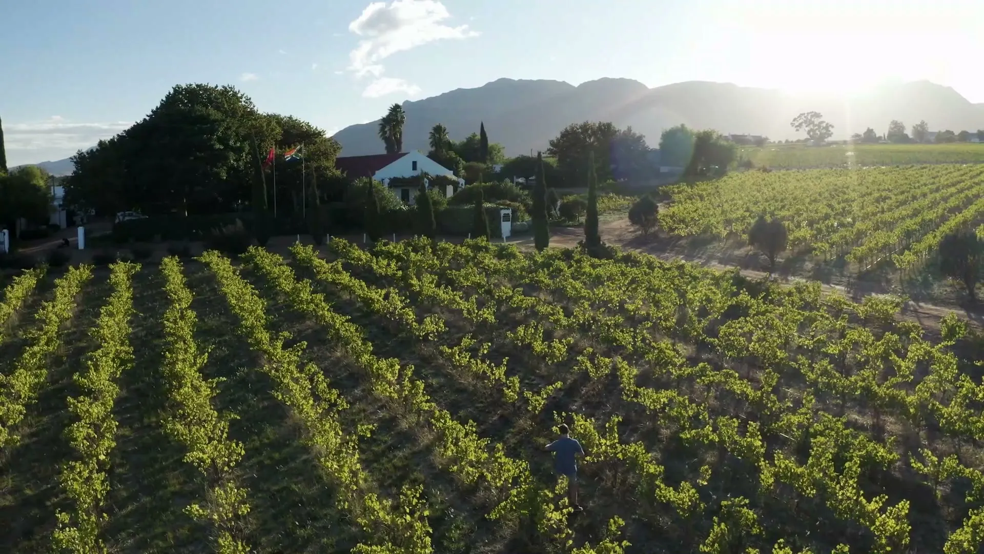 Farmen und Hospitality