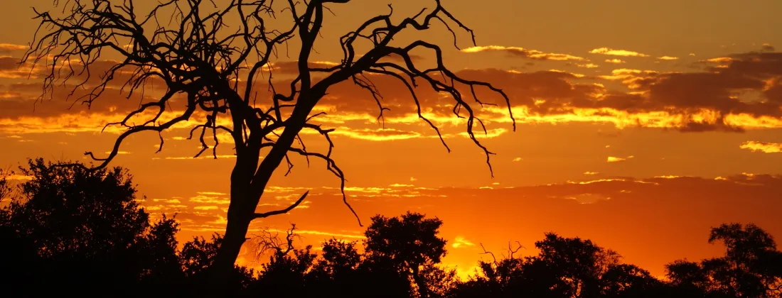 Explore Botswana