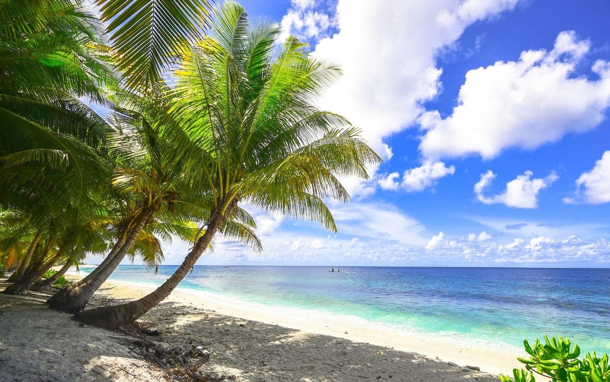 Explore Diani