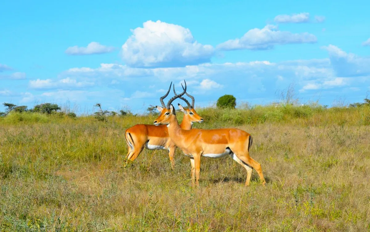 Explore Athi River