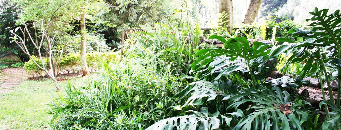 Explore Spring Valley