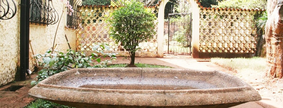 Explore New Muthaiga