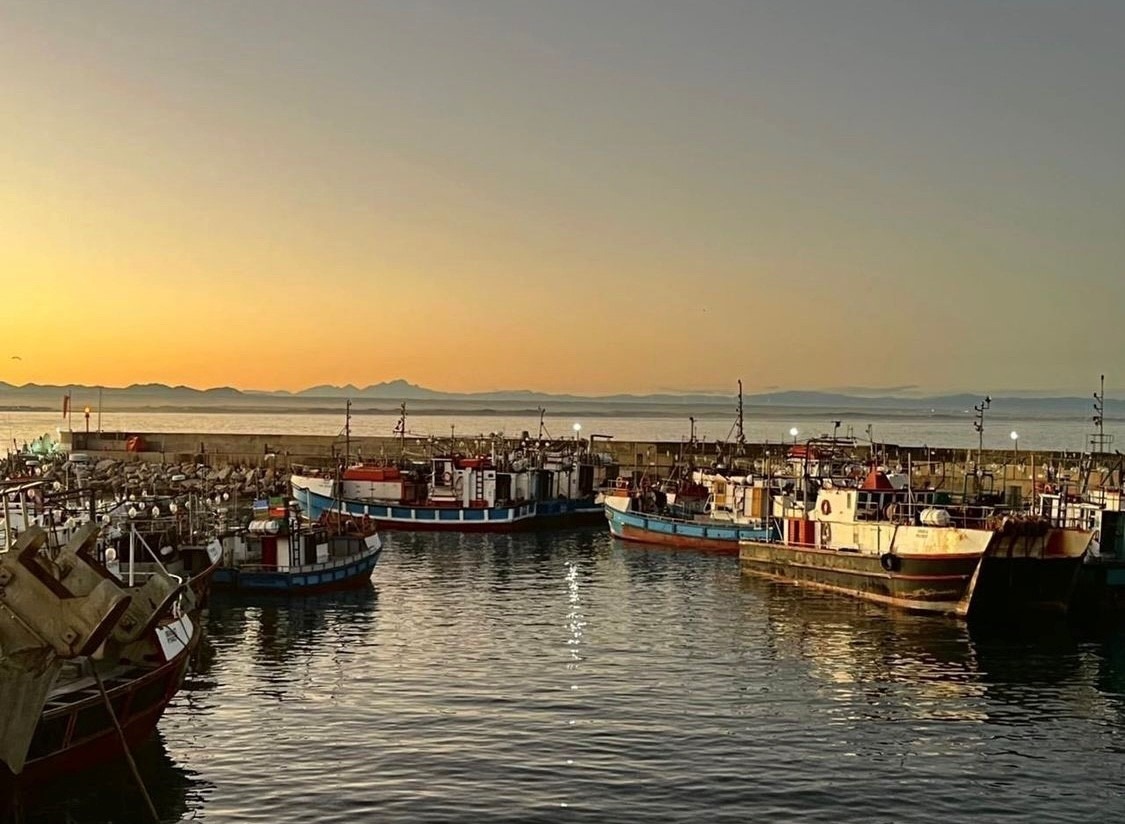 Calamari Update Calamari Update