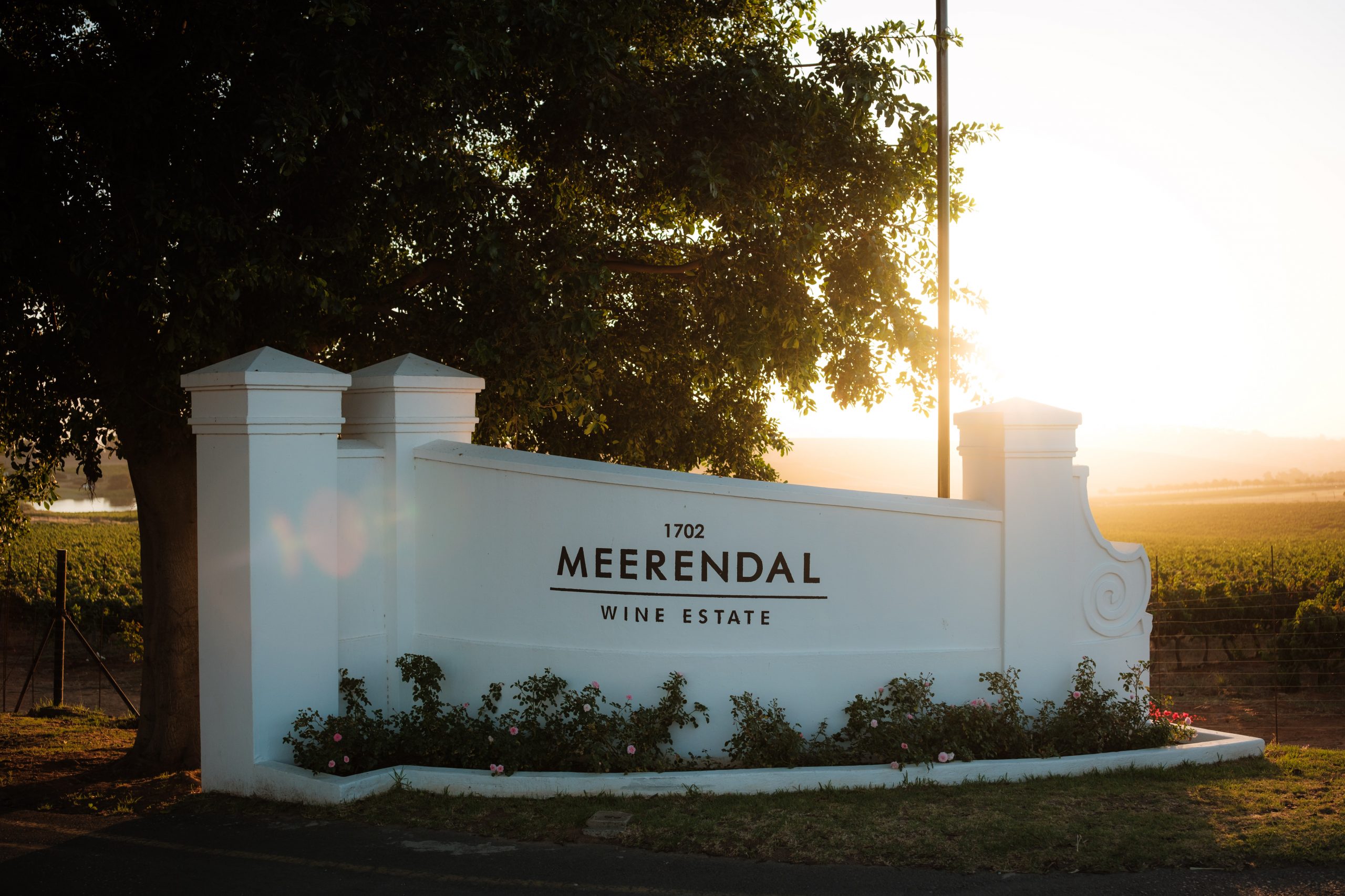 Durbanville: A Gem in the Northern Suburbs of Cape Town Durbanville: A Gem in the Northern Suburbs of Cape Town