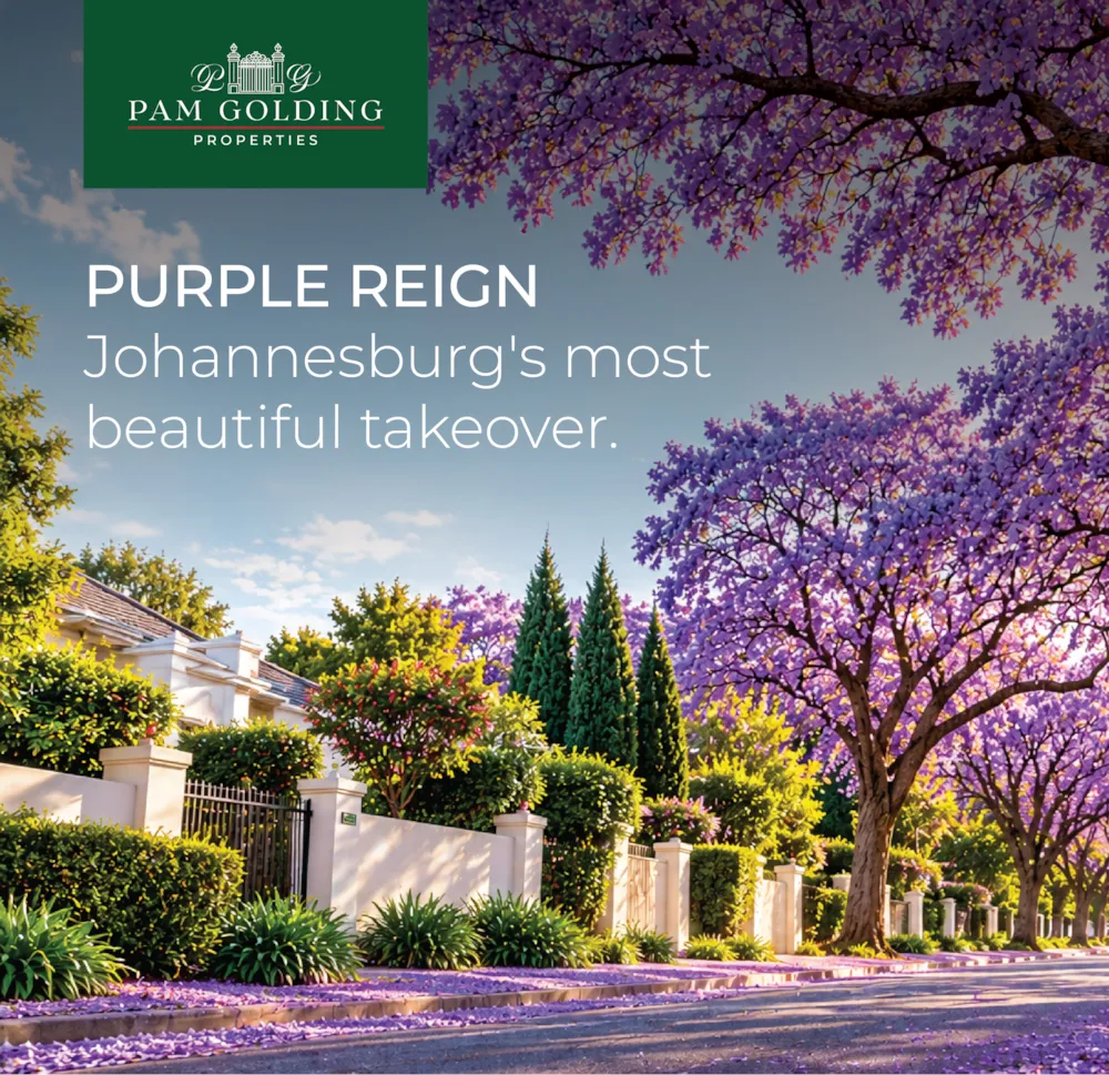 Every spring, without fail, Johannesburg changes colour. The streets of Melville, Parkwood, Norwood, Rosebank and Westcliff disappear under a canopy of violet-blue, pavements turn purple with fallen petals and for a few short weeks the whole city seems to slow down just to look up. It's one of the most photographed, most loved and most quintessenti...