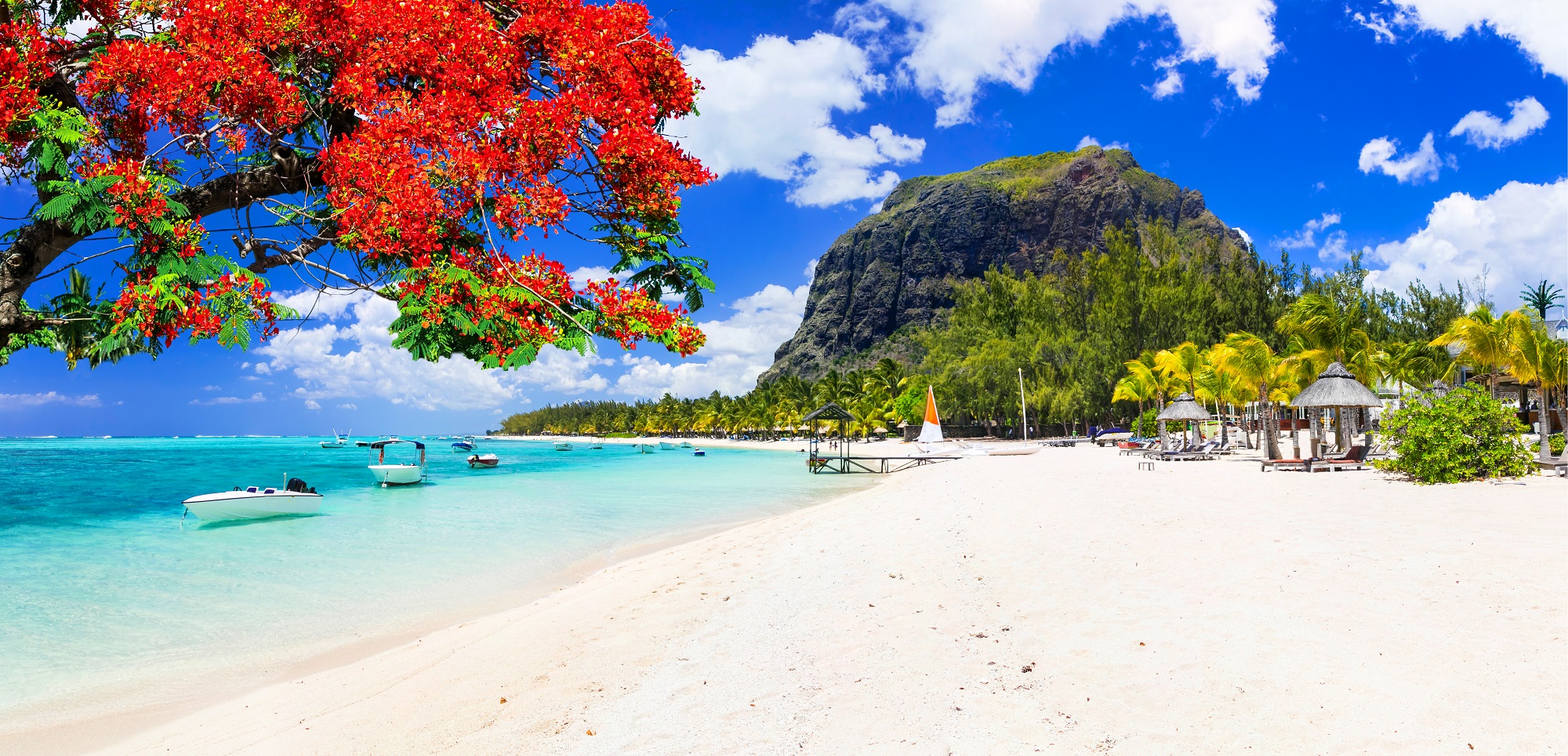 West Mauritius, famous for its tropical beauty. West Mauritius, famous for its tropical beauty.